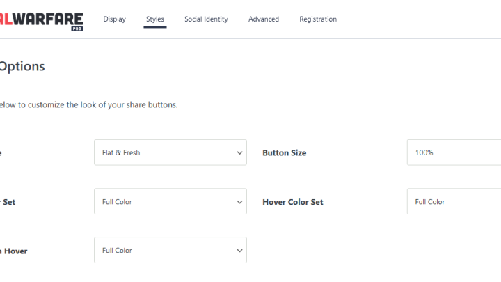 Options Page – Styles Tab – Visual Options